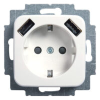Busch-Jaeger SCHUKO-2x USB Steckdose 20 EUCB2USB-214