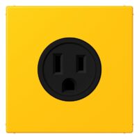 Jung LC521-15263 Steckdose US-Norm NEMA LC4320W