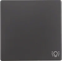 Berker Wippe anthrazit/sa mit Aufdruck Licht 16206046