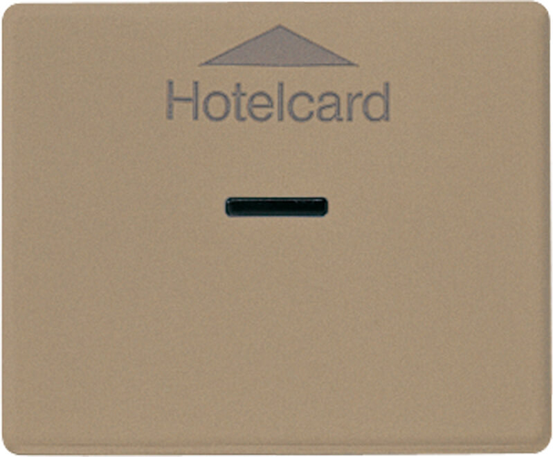 Jung Jung Hotelcard-Schalter SL590CARDGB