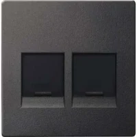 Merten Zentralplatte 2 fach anth für Modular-Jack MEG4562-0414