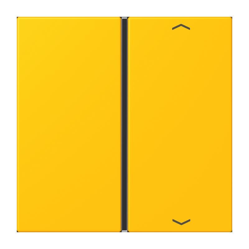 Jung Jung LC401TSAP263 Taste 1-fach Pfeil LC4320W