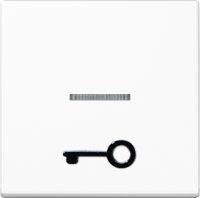 Jung Wippe abt.Symbol TÜR aws für beleuchtb.Taster A 590 T1KO WW