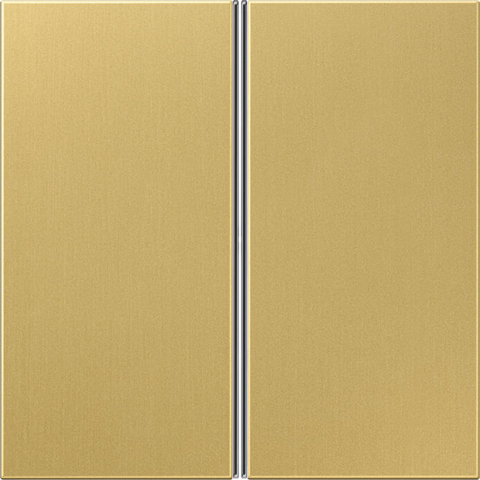 Jung Jung Tastensatz 2-fach Mess/clas komplett ME 2402 TSA C