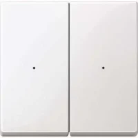 Merten Wippe pws/gl 2fach,Syst.M MEG5220-0319