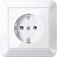 Merten SCHUKO-Steckdose aws/gl volle Abdeckplatte MEG2401-1025