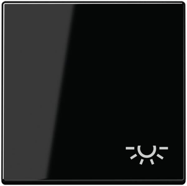Jung Jung A590BFLSW Wippe Symbol Licht bruchsicher Serie A schwarz