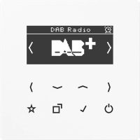 Jung Smart DAB+ Digitalradio UKW,DAB+ DAB LS WW