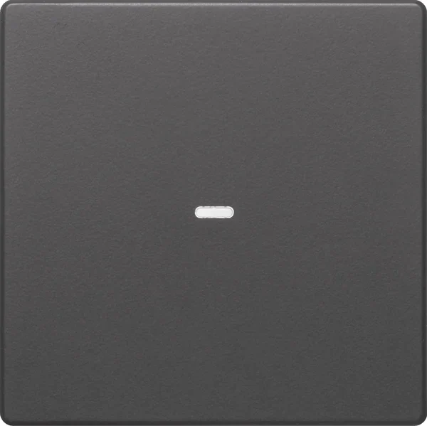 Berker Berker Tast-Abdeckung 1-fach anthrazit Tastsensor-Modul 80960226