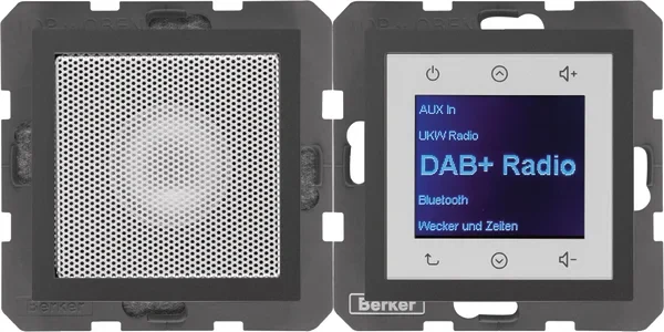 Berker Berker Radio mit Lautspr. DAB+ B. x ant. matt 29801606