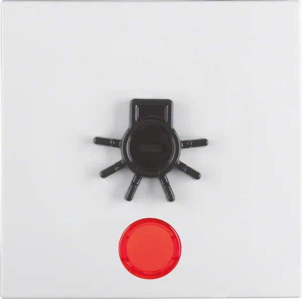 Berker Berker Wippe pws Symbol Licht 16511949