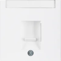 Berker Zentralstück Staubschutzschieber 11701909