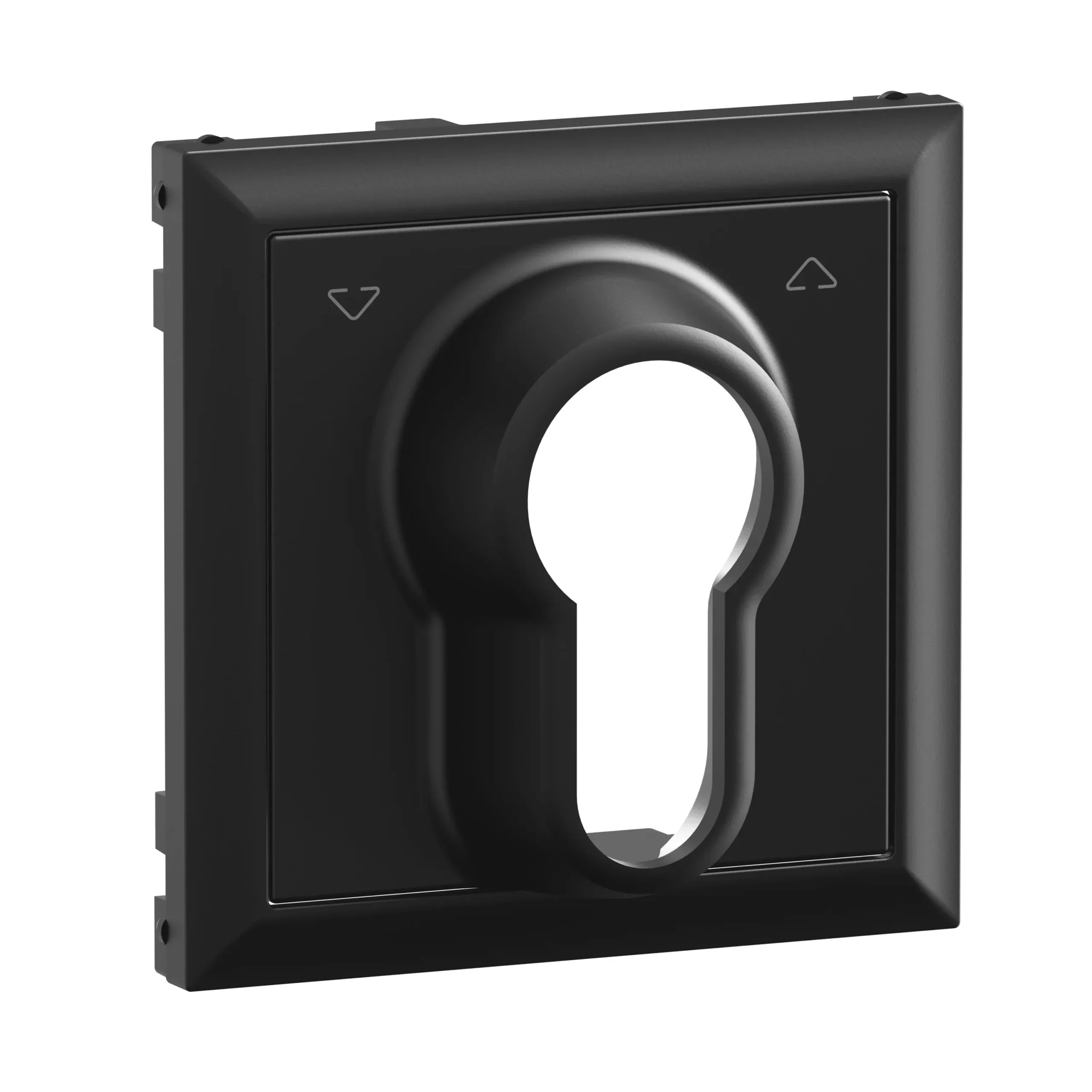 Legrand Legrand 765334 SEANO Abdeckung Jalousietaster mit DIN-Halbzylinder schwarz