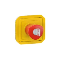 Legrand 069548L Plexo New Einsatz NOT-AUS Taster 3A Schlüssel für die