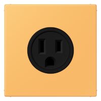 Jung LC521-15254 Steckdose US-Norm NEMA LC4320L