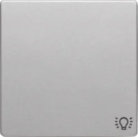 Berker Wippe alu/lackiert Symbol Licht 16206044