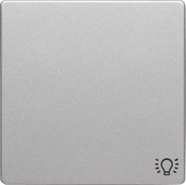Berker Berker Wippe alu/lackiert Symbol Licht 16206044