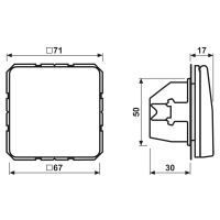 Jung SCHUKO-Steckdose lichtgrau CD 1520 BFKL LG