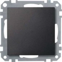 Bild vom Produkt: Merten Blindabdeckung anth 391814