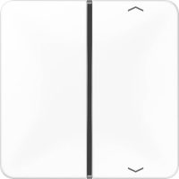Jung Taste 1-fach aws Symbol Auf/Ab CD 401 TSAP WW