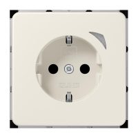 Jung BTCD1521SE JUNG HOME SCHUKO Steckdose Energy
