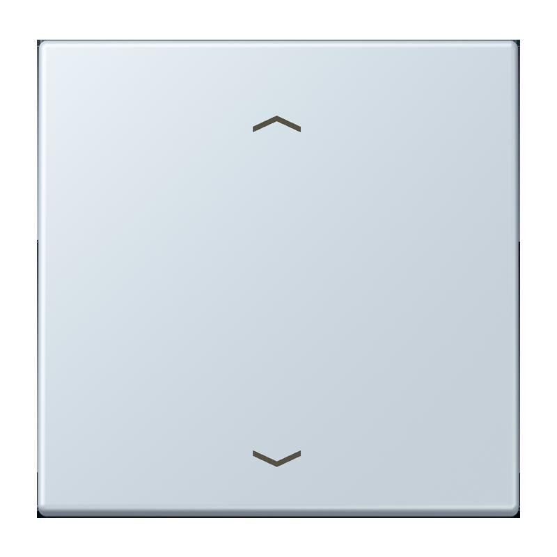 Jung Jung LC1700P209 Steuertaste Standard -Pfeile LC32023