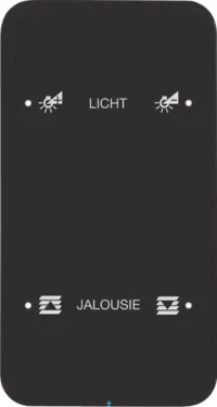 Berker Touch-Sensor 2-fach Glas schwarz 75142165