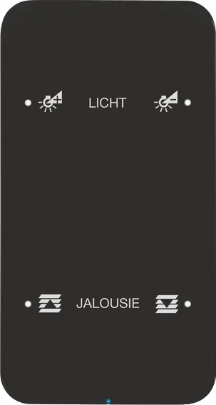Berker Berker Touch-Sensor 2-fach Glas schwarz 75142165