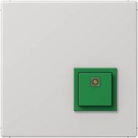 Jung Abstelltaster lgr ausgel.RUF abstellen NRS LS 0834 AT LG