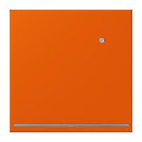 Jung LC1539-OLNW260 LED-Orientierungslicht m.Sensor LC4320