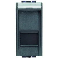 BTicino L4279C5E LivingLight Datendose RJ45 ungesch. Kategorie5e UTP werkz. Anthr.