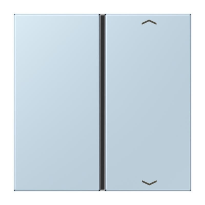 Jung Jung LC401TSAP208 Taste 1-fach Pfeil LC32022
