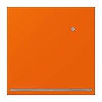Jung LC1539-OLNW224 LED-Orientierungslicht mit Sensor LC3208