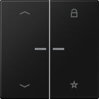 Jung FM LS 1701 P SWM eNet Funk-Steuertaste "Pfeile" 2-fach