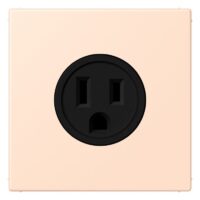 Jung LC521-15228 Steckdose US-Norm NEMA LC32091