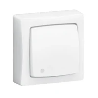 Legrand 086017L OTEO Unigerät Beleuchteter Wechselschalteroder Taster Aufputz