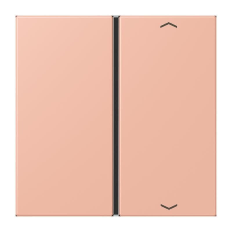 Jung Jung LC401TSAP231 Taste 1-fach Pfeil LC32102