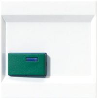 Jung Abdeckung aws für Fab.Ackermann LS 642 C WW