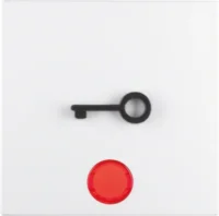 Berker Wippe pws Symbol Tür 16511969