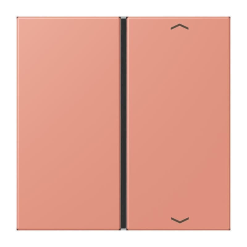 Jung Jung LC401TSAP233 Taste 1-fach Pfeil LC32111