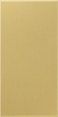 Jung Abdeckung in Tastenfarbe 33x70,5mm ME 50 NA C-L