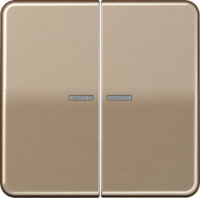 Jung KNX RF Taster 2-fach Aluminium eloxiert CD 10921 ST RF GB