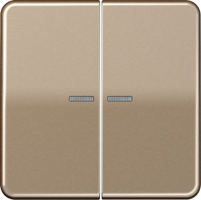 Jung Jung KNX RF Taster 2-fach Aluminium eloxiert CD 10921 ST RF GB