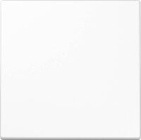 Jung Funk-Wandsender Bluetooth Low Energy BLELS990WW