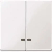 Merten Doppelwippe pws/gl Kontrollfenster MEG3420-0319