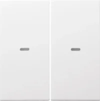 Berker Tast-Abdeckung 2-fach pws 80960389