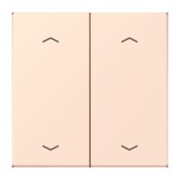 Jung LC102P226 Wippe mit Pfeilsymbolen für KNX Taster 2