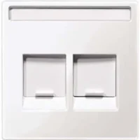 Merten Zentralplatte 2 fach pws/gl f.Mod.Jack Schr.feld MEG4564-0319