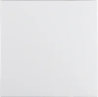 Bild vom Produkt: Berker Wippe pws/matt 16201909