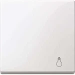 Merten Wippe Licht pws/gl Wech/Kreuz/Tast/Ein. MEG3302-0319